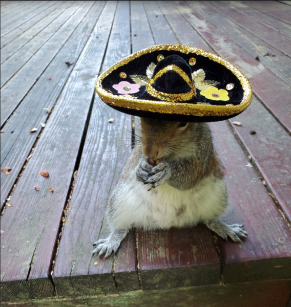 and... sombrero