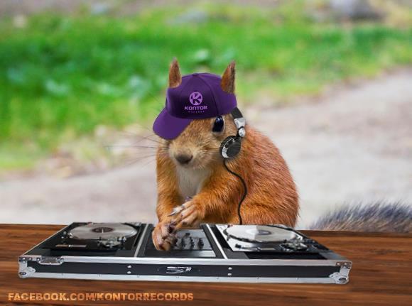 If squirrels could wear tiny hats, do you think they would prefer top hats or beanies for their winter gatherings? And why?