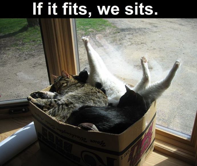 Do you usually prefer sitting beside or across from your date or partner?