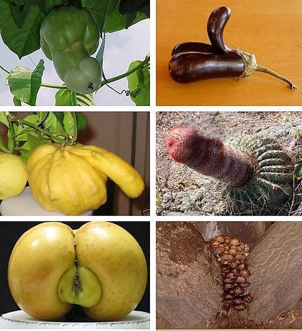 Do you prefer edible skin fruit or the peeling type?