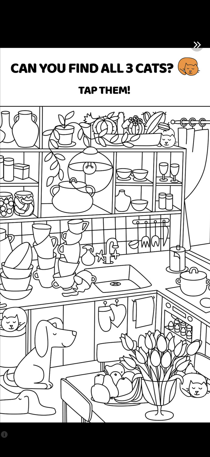 Can you find the kiddy’s?