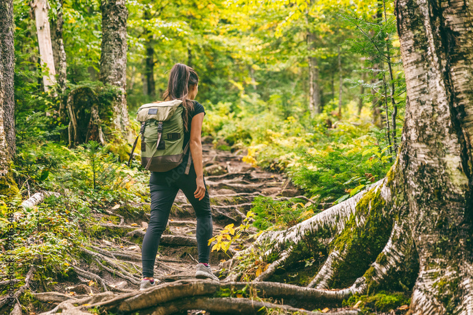 What do you like to do when youre in the woods?