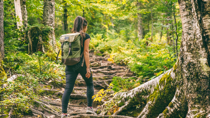 What do you like to do when you're in the woods?