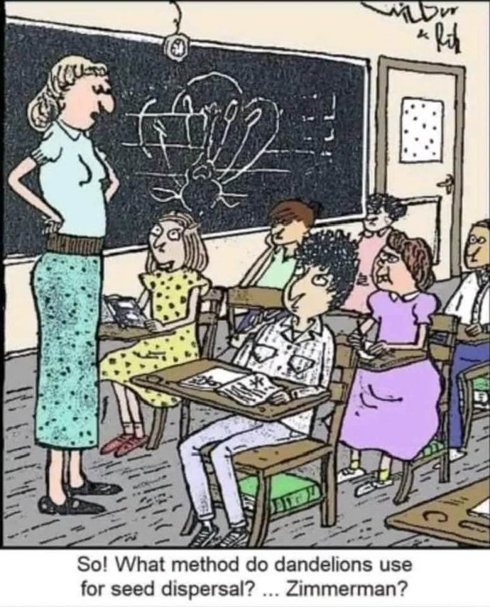 Have you ever forgotten the answer to a very simple question?
