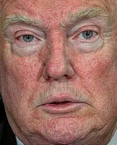 Do you think a point comes where the MAGA cult members wake up and realize what they've done, to themselves and this country?