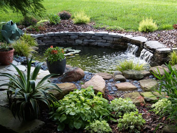 What would you like to have in your backyard?