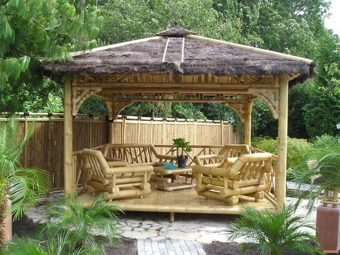 What would you like to have in your backyard?