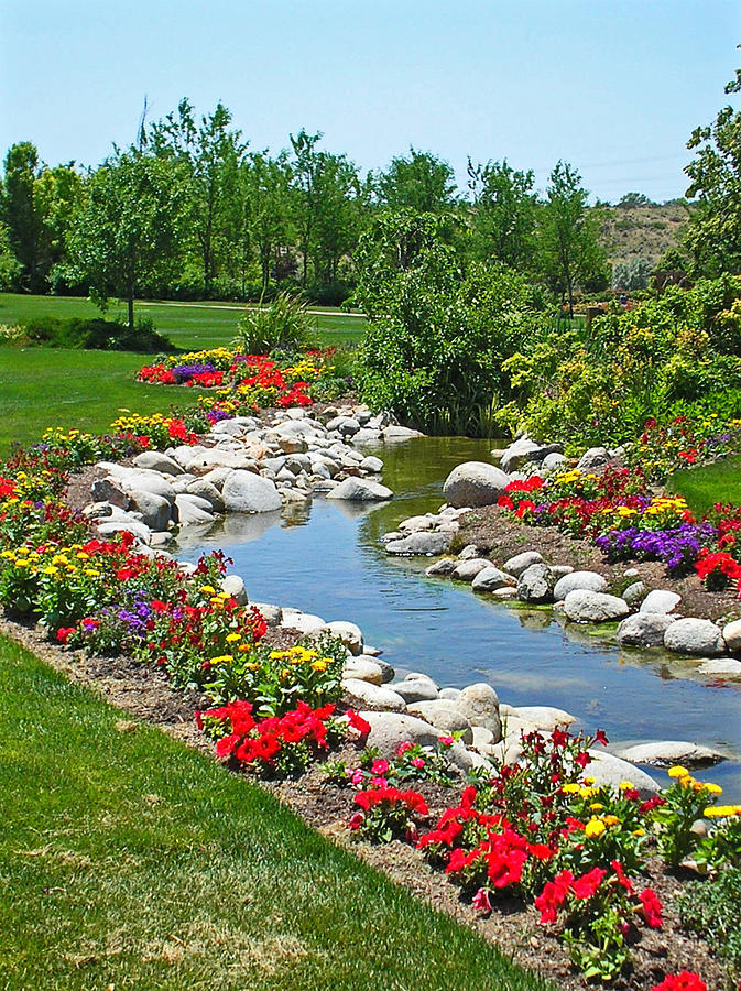 What would you like to have in your backyard?