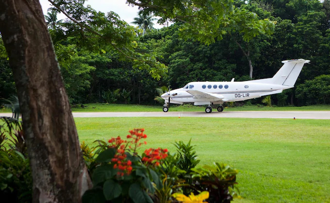 What would you like to have in your backyard?