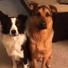 Don't you think it's rude to grab someone's tongue and pull it?