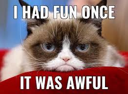 Would you describe yourself as fun?