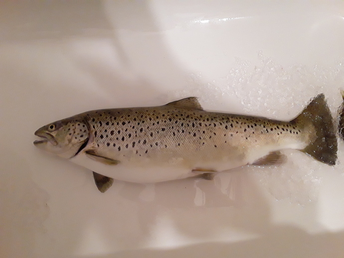 Ever go ice fishing?