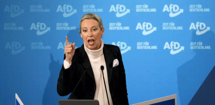 Why would a US Vice President turn down meeting the German Chancellor to meet with the leader of a party that openly dances with Neo-Nazi sentiments?