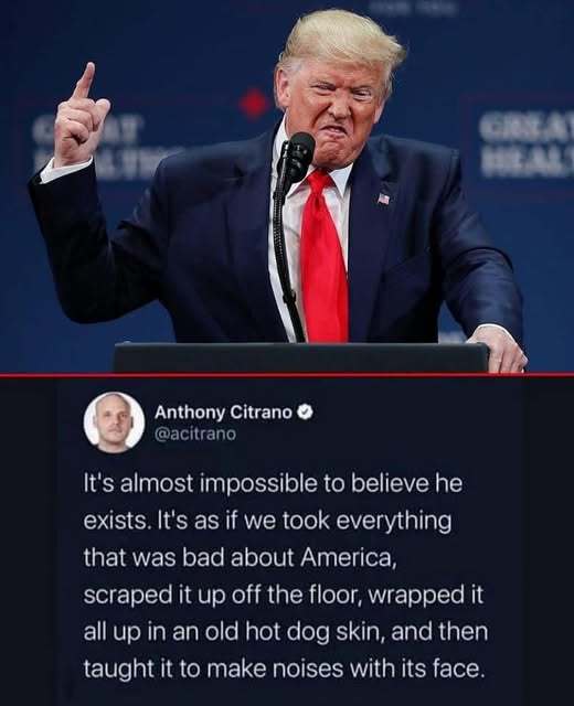 Serious question: Is the Trump administration incompetent, stupid or just evil?