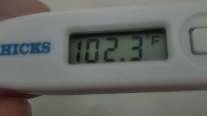 What's best for reducing high fever?