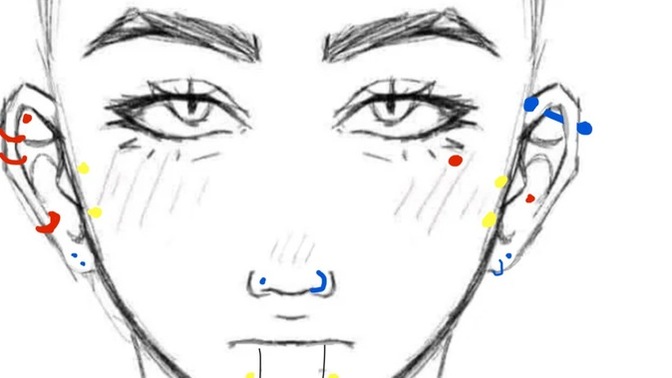What piercings do you have? Fill out the chart?
