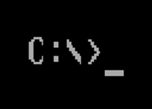 If hypothetically someone hacked your computer and replaced Windows with MS Dos, would you still know how to use your computer?