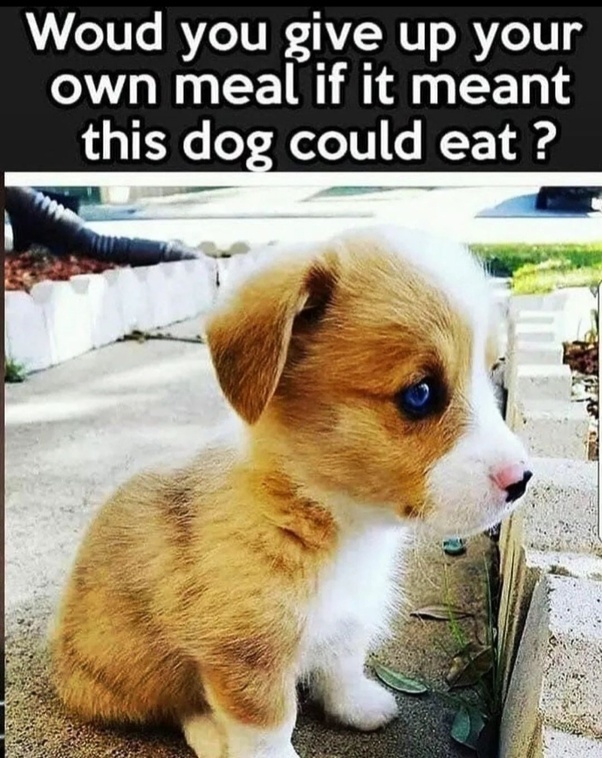 Would y’all do it?