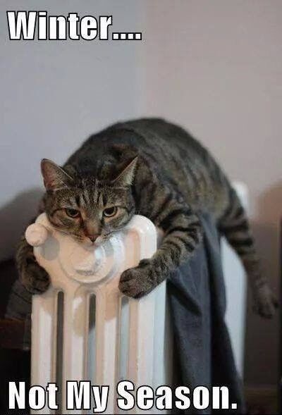 š§š§