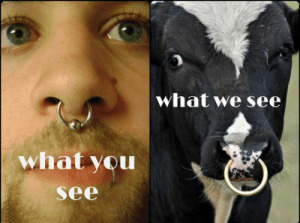 How Do you all guys (20-25) find a girl who has a tongue piercing, and a septum and a nostril?