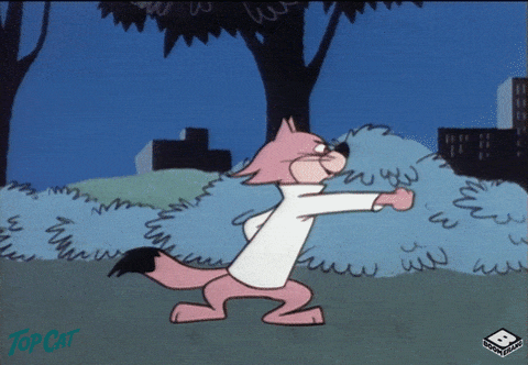 What is your favorite color?