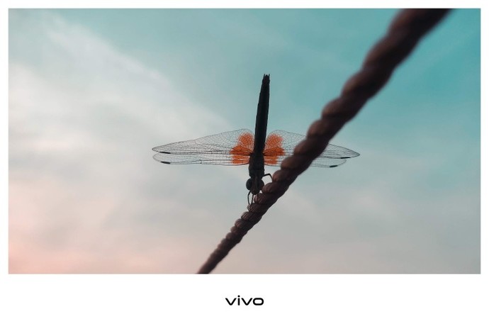 Did you like my photography?