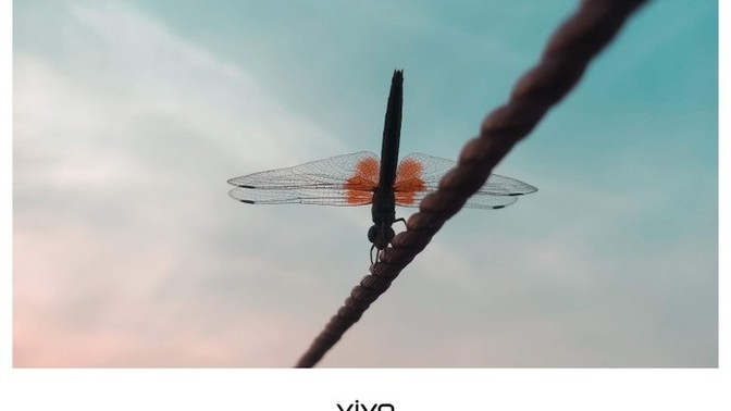 Did you like my photography?
