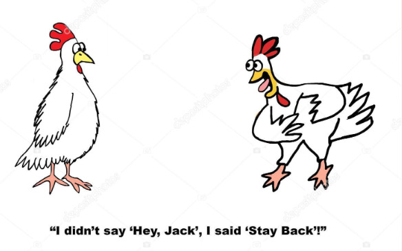 Should Chickens be socially distanced to bring down egg prices?