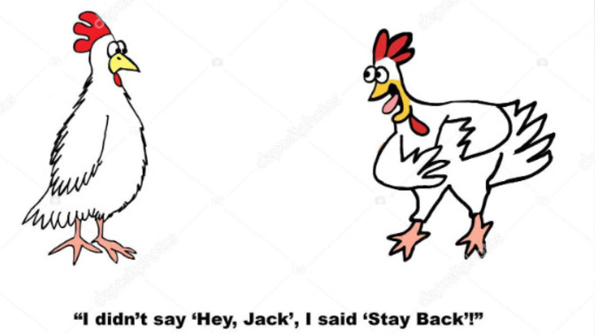 Should Chickens be socially distanced to bring down egg prices?