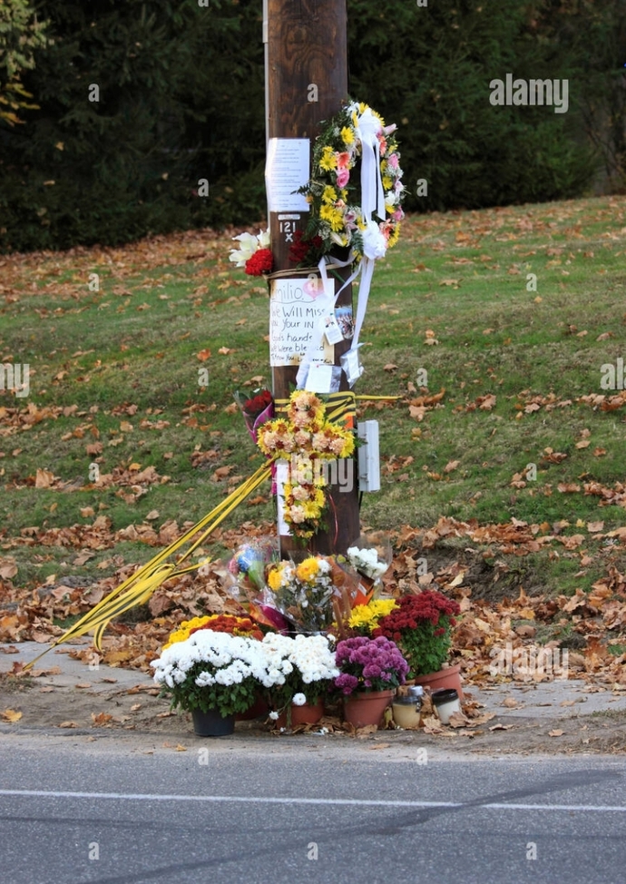 What are you thoughts on roadside or vehicle memorials? Is this a NY, regional, national or international thing? Does road maintenance destroy them?