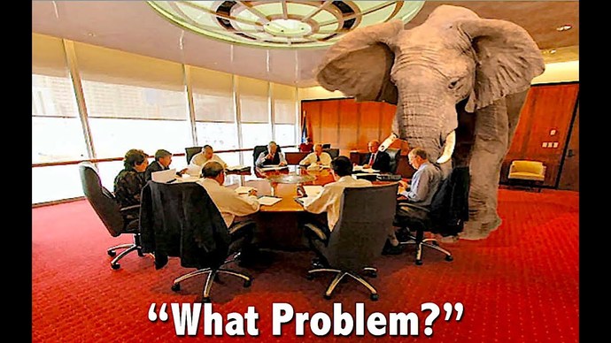 Would YOU address an actual elephant if you saw one in a room?
