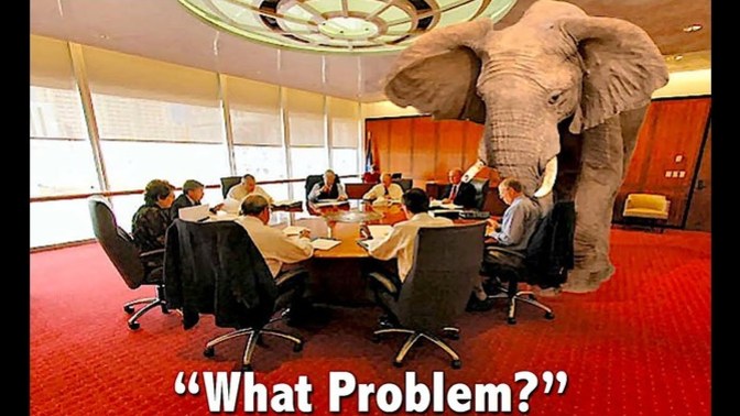 Would YOU address an actual elephant if you saw one in a room?