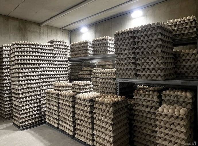 WHAT REALLY IS IN FORT KNOX