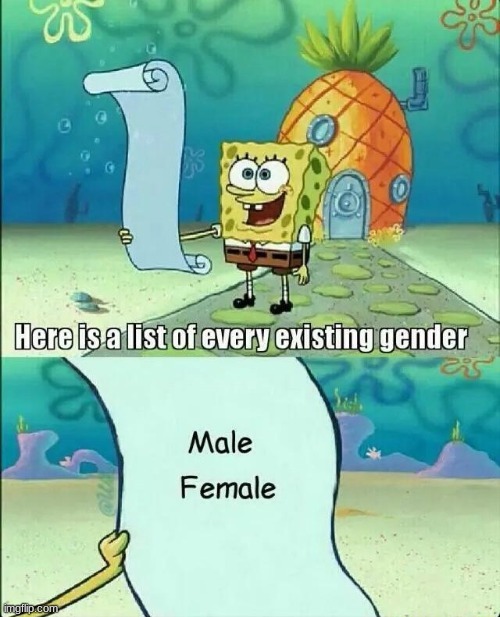 Why do we need to identify more genders?