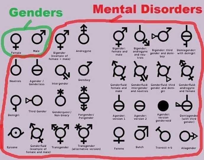 Why do we need to identify more genders?