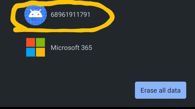 Do you know what program, application, or data these numbers represent?