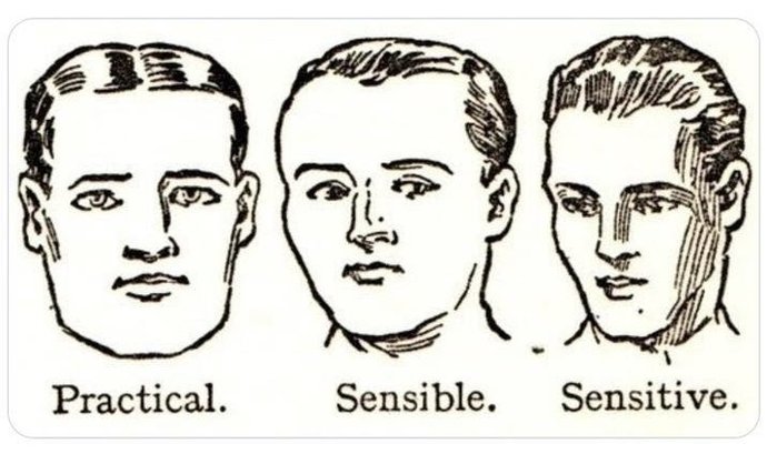 Which type of man is most attractive according to this meme?