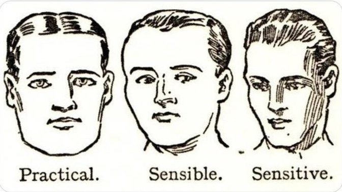 Which type of man is most attractive according to this meme?