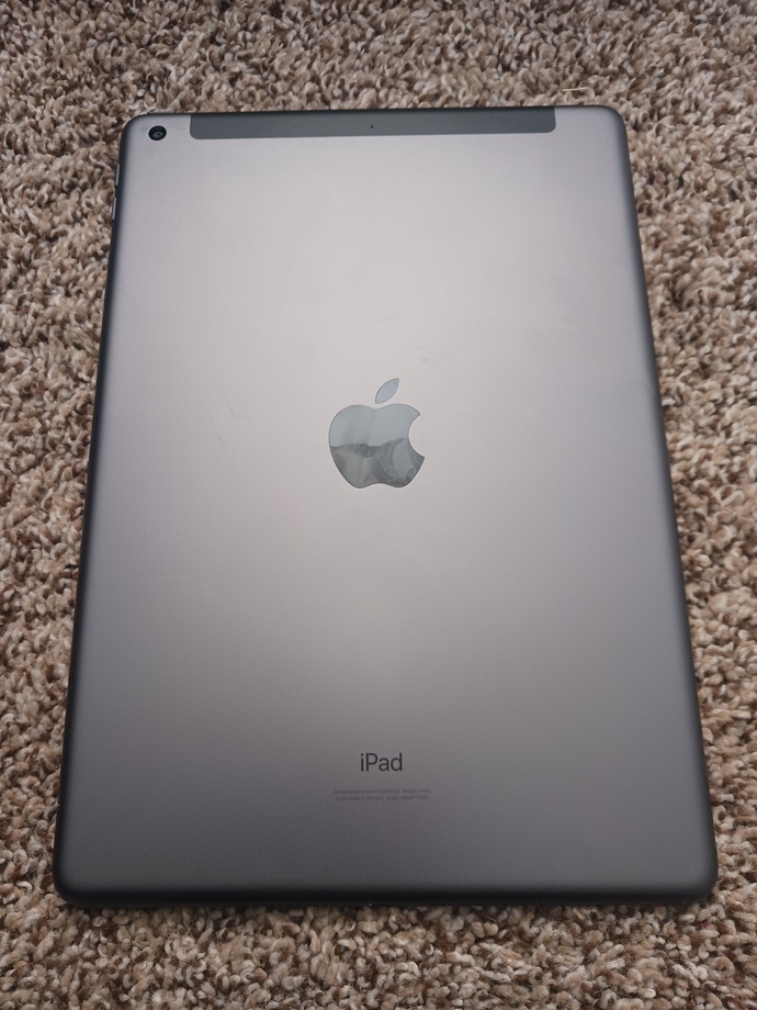 Are iPads or laptops more important to you?