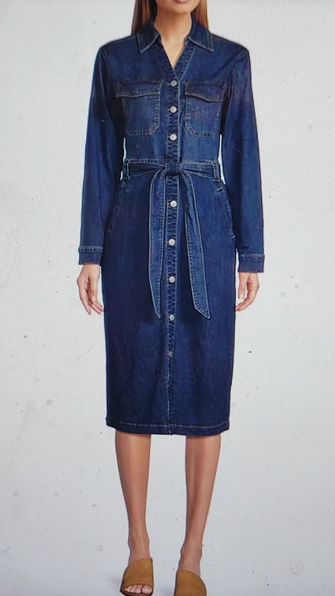 What do you think of this denim dress?