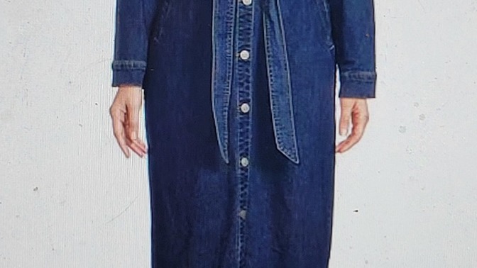 What do you think of this denim dress?