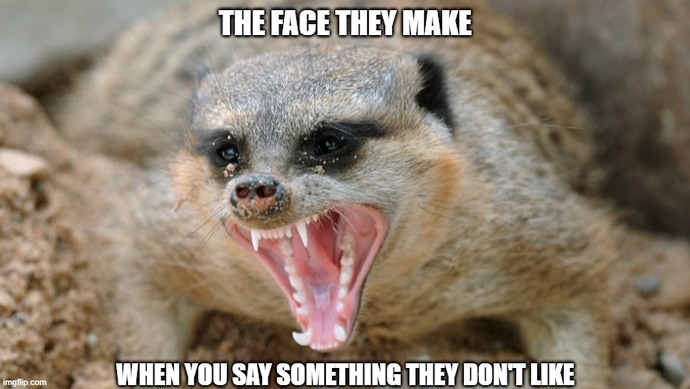 What would you say if someone ask to rate/give opinion about their appearance honestly?