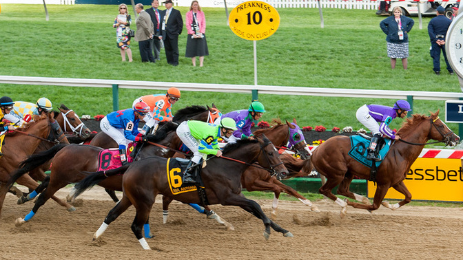 Thoughts on horse racing? Is it cruel? Is it anachronistic government subsidized patronage scam? Is it elitist? Fixed? What about dog racing?