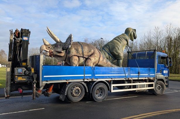 Do all little boys go through a dinosaur phase?