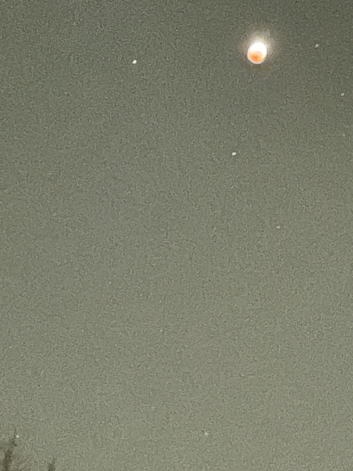 Do you like my pictures of the red moon I took earlier today?