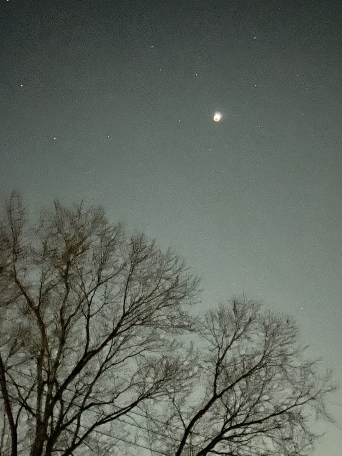 Do you like my pictures of the red moon I took earlier today?