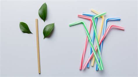 Are you a plastic straw person or a paper?