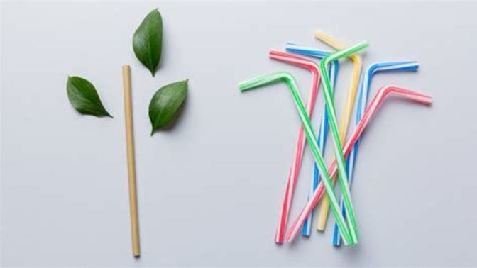Are you a plastic straw person or a paper?
