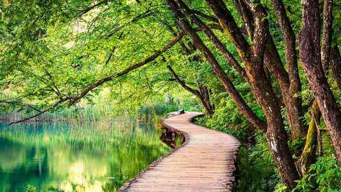 What Is Your Favorite Nature Destination?