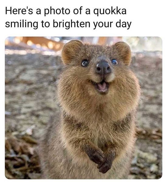 How was your day today?